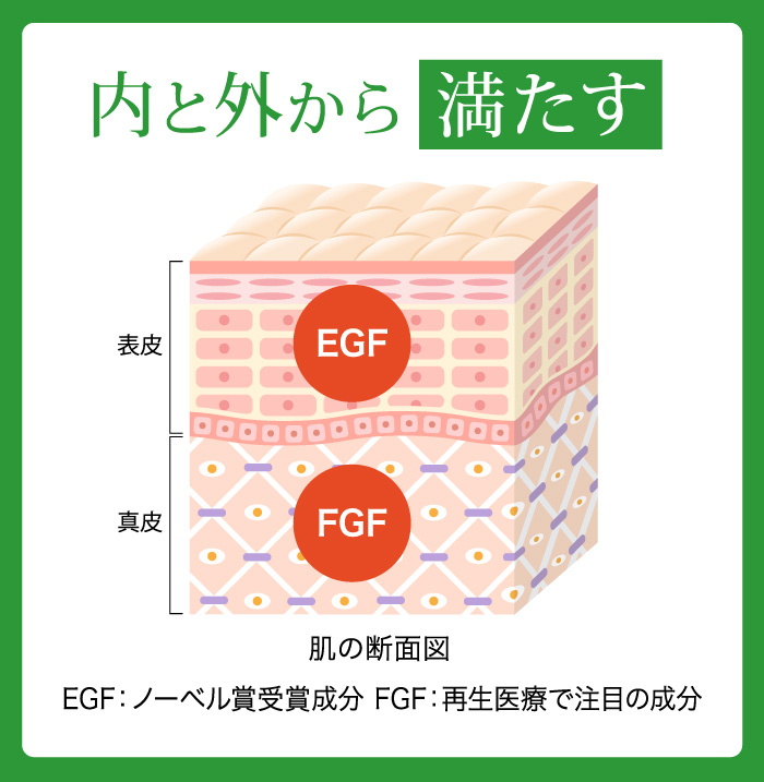 肌の内側と外側から潤いを満たす