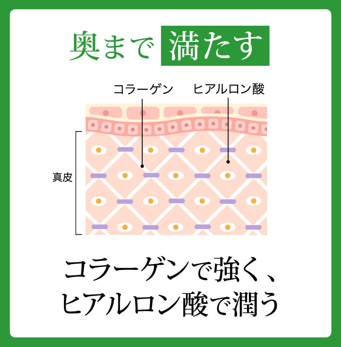 コラーゲンとヒアルロン酸で潤いを満たす