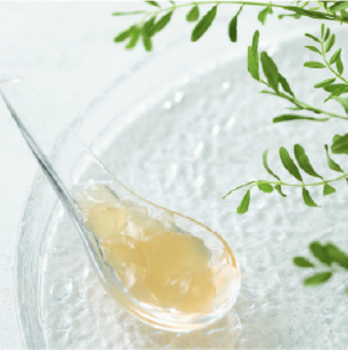 HANATSUBAME（トライアルセット）１袋５本入り【送料込】